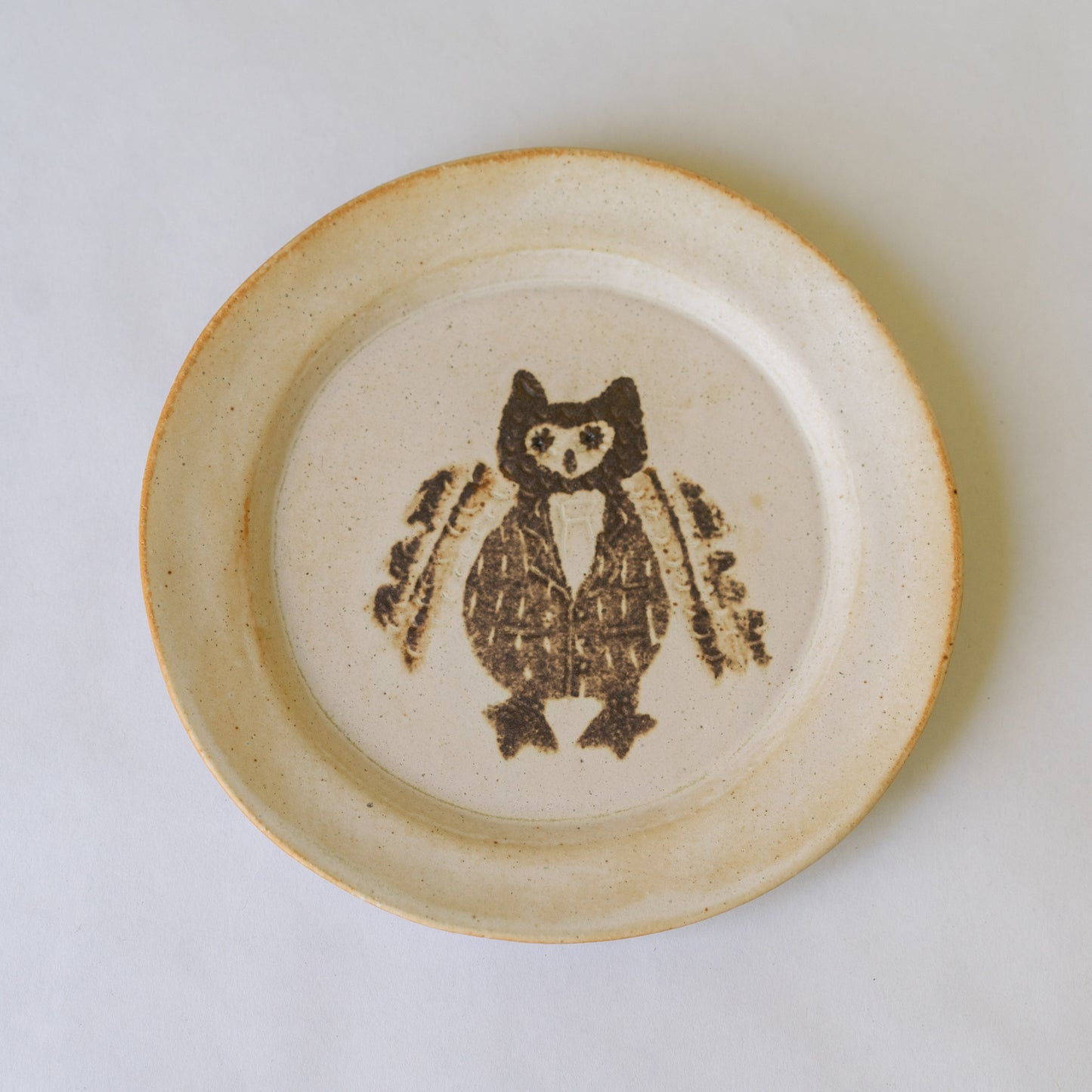 desert plate - owl