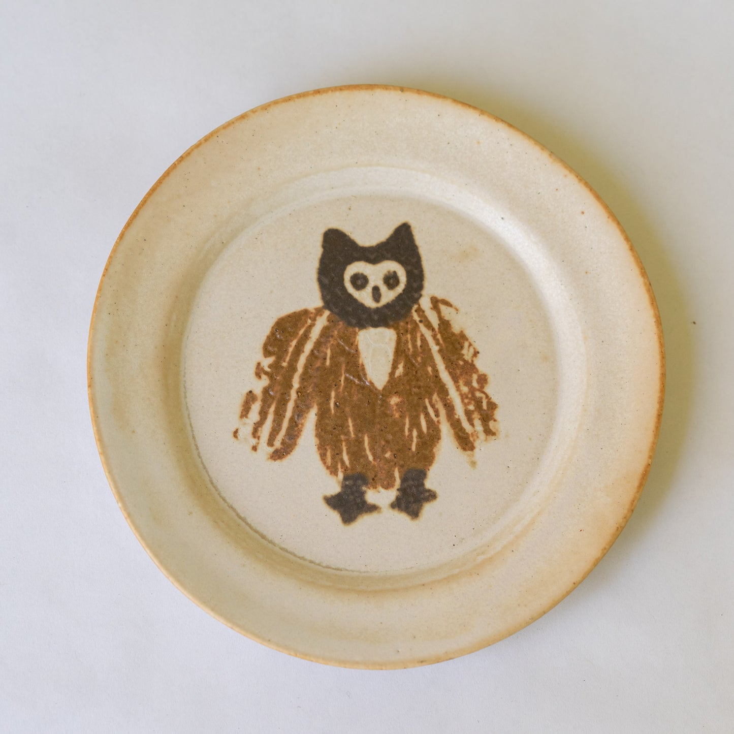 desert plate - owl